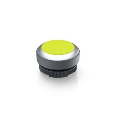 Rafi Industrial Panel Mount Indicators / Switch Indicators Clear Ylw Lens, Mom W/ Metal Front Ring 1.30.270.021/2400